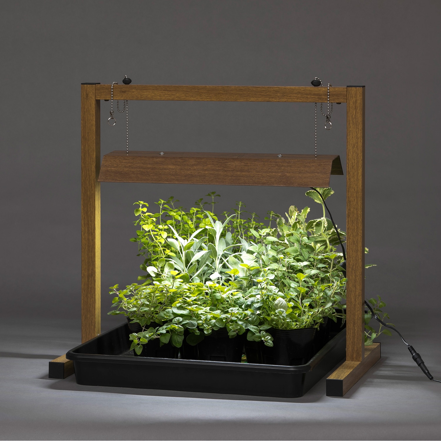 タカショー(Takasho) スタンド式 植物育成ライト グリーントラッグ 卓上 LGT-01BR