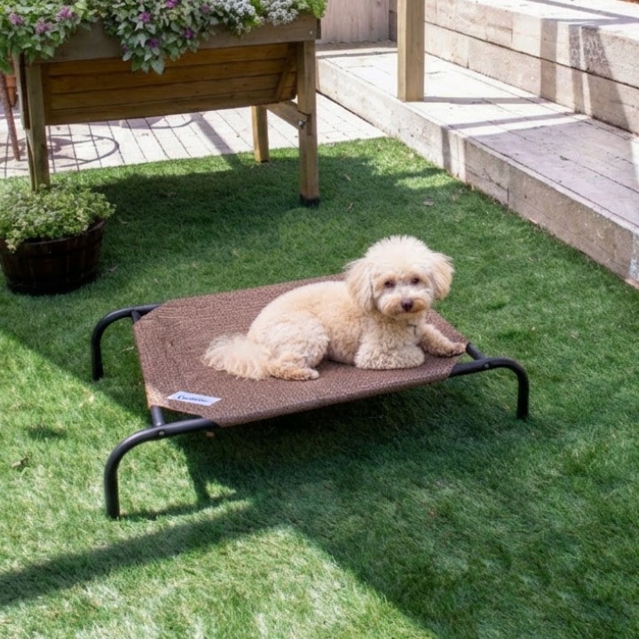 �y�b�g�x�b�h �i�c���O S /A