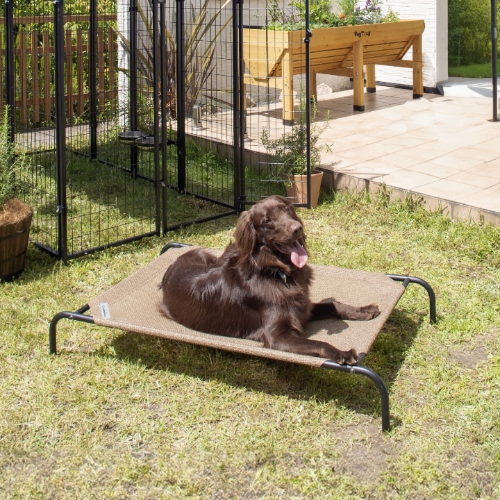 �y�b�g�x�b�h �i�c���O L /A