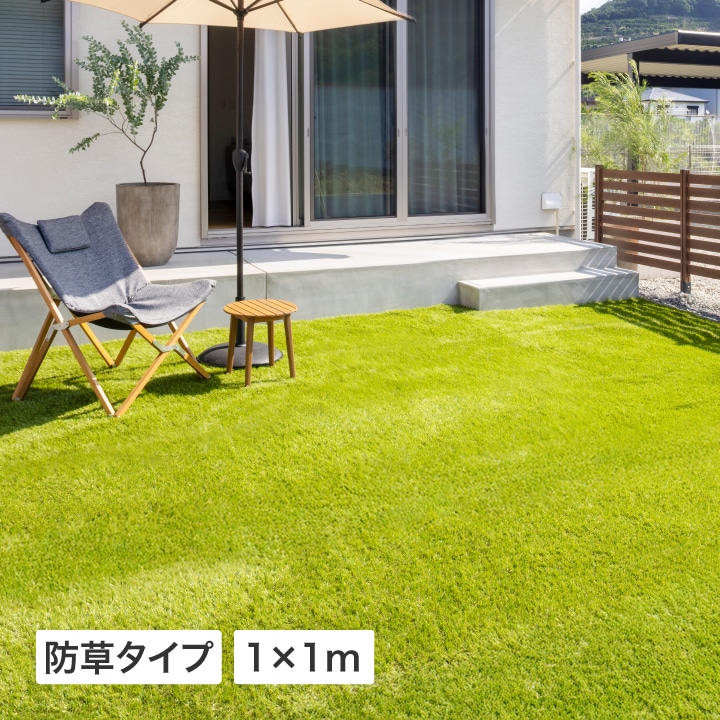 �l�H�� �h���^�C�v 1×1m /A