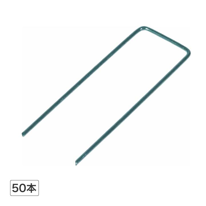 �l�H�Ńs��50�{ /A