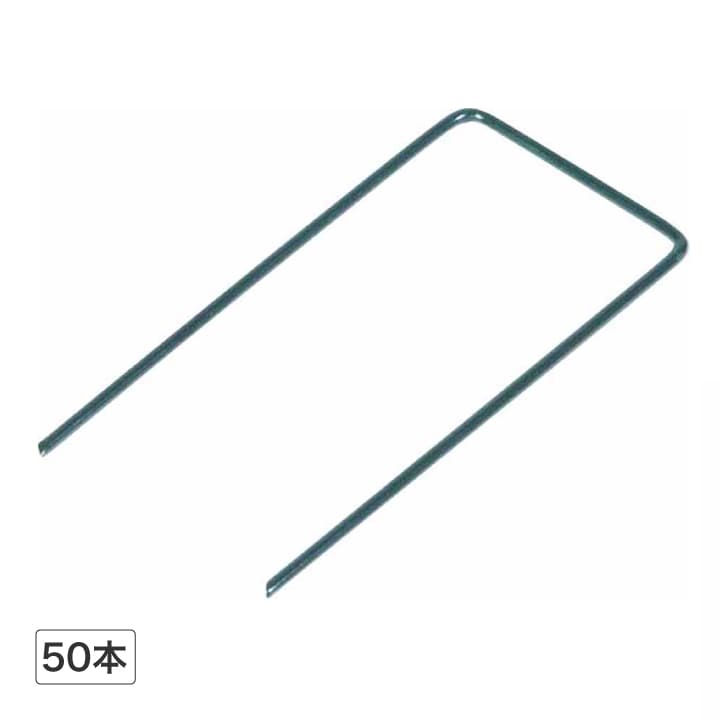 �l�H�Ńs�����C�h50�{ /A