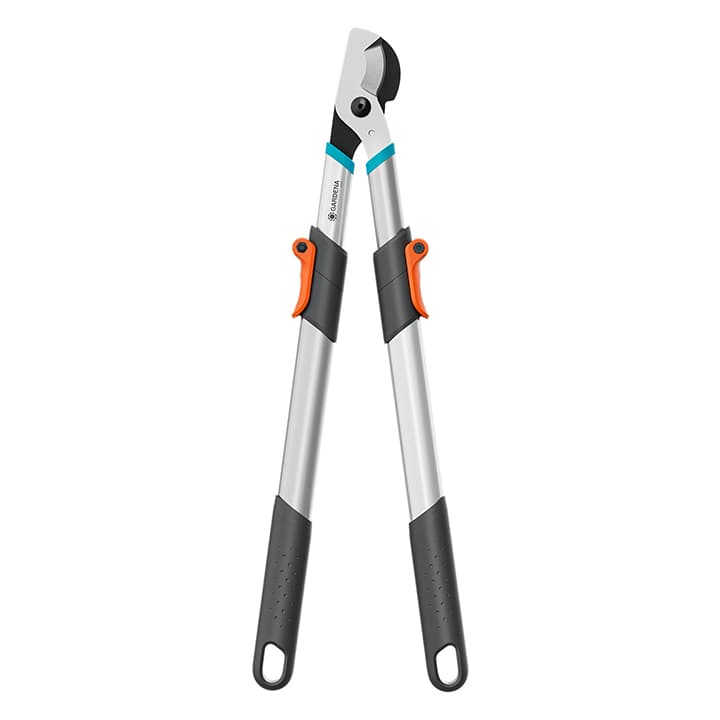 �}�؂�΂��� �o�C�p�X�^ �A�[���L�k TC Basic /A