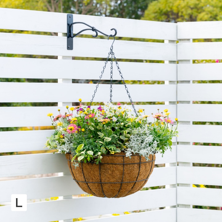 �n���M���O�o�X�P�b�g �k /A