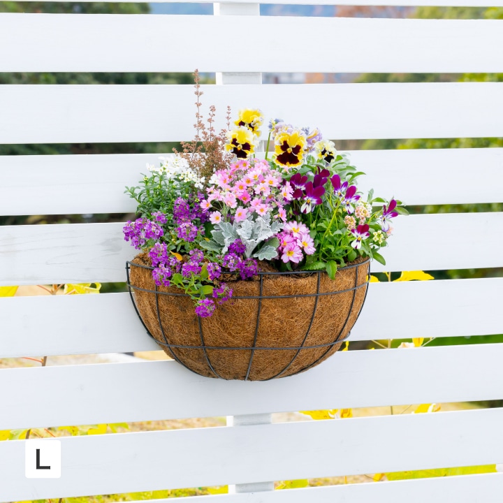 �E�H�[���n���M���O�o�X�P�b�g �k /A