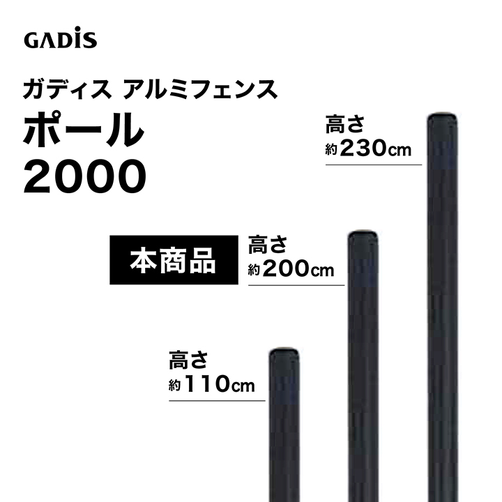 �K�f�B�X �A���~�t�F���X �|�[�� 2000 /B