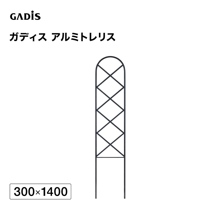 �K�f�B�X �A���~�g�����X 300×1400 /B