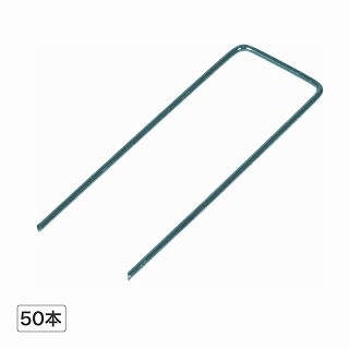 �l�H�Ńs��50�{ /A