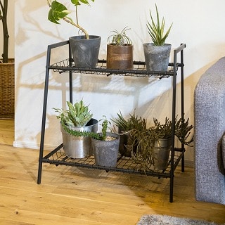 �{�^�j�J���V�F���t �Q�i �T���h�u���b�N /A