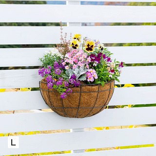 �E�H�[���n���M���O�o�X�P�b�g �k /A