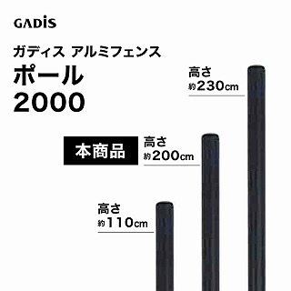 �K�f�B�X �A���~�t�F���X �|�[�� 2000 /B