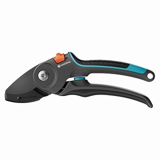 ����΂��� �A���r���^ PremiumCut Pro /A