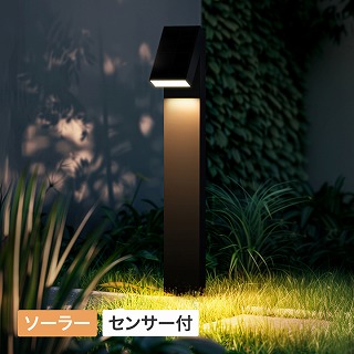 ExLights \[[|[Cg FLAG /A